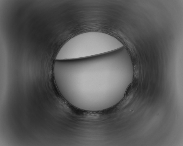 X0000088180471200705150943