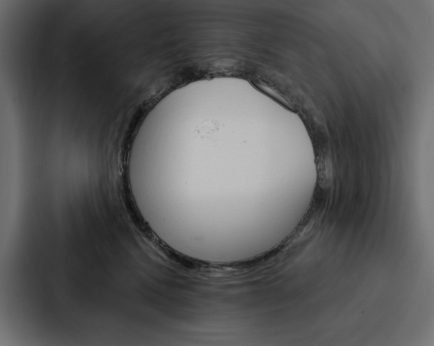 X0000088180472200705150943