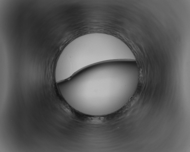 X0000088180474200705150943