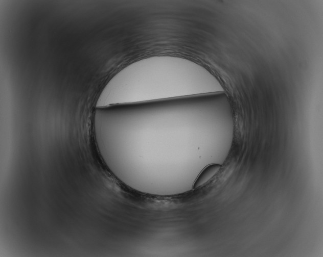X0000088180475200705150943
