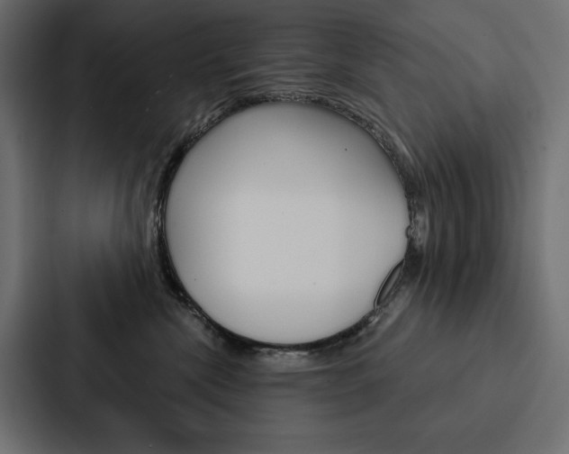 X0000088180476200705150943