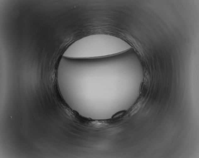 X0000088180477200705150943
