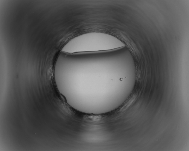 X0000088180478200705150943