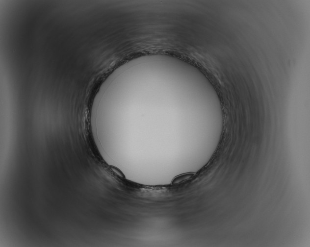 X0000088180480200705150943