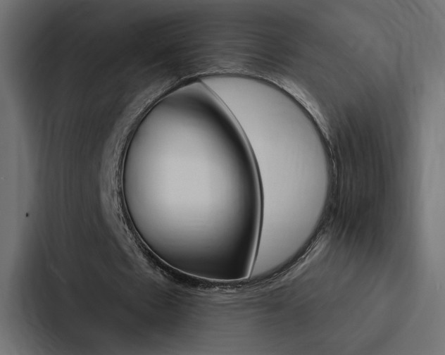 X0000088180481200705150942