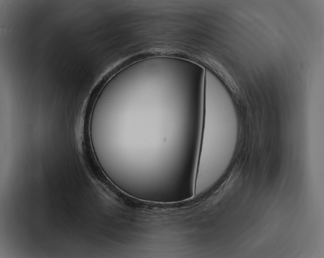 X0000088180484200705150942