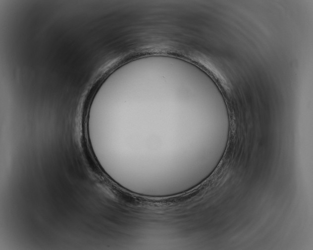 X0000088180486200705150942