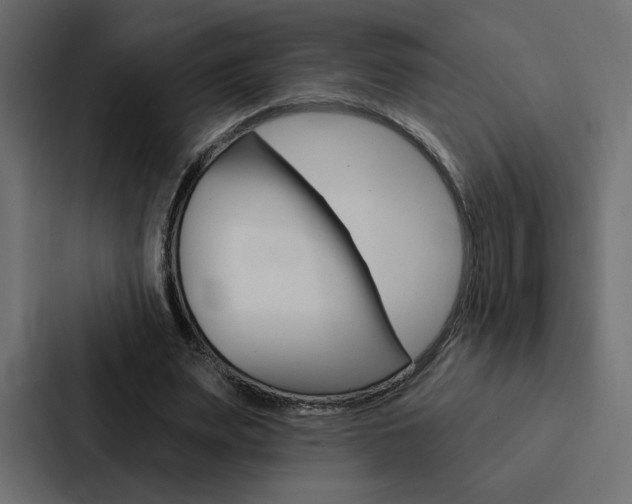 X0000088180487200705150942