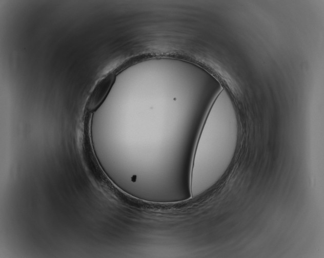 X0000088180488200705150942