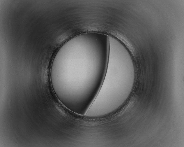 X0000088180489200705150942