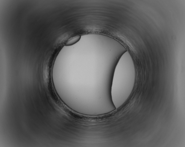 X0000088180494200705150942