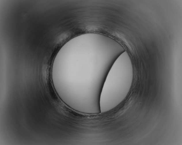 X0000088180495200705150942