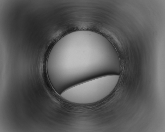 X0000088180496200705150942