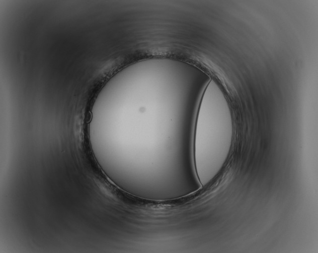 X0000088180497200705150942