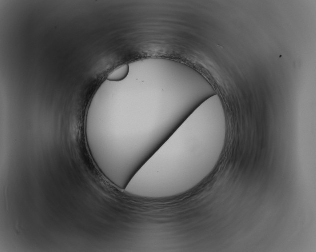 X0000088180499200705150942