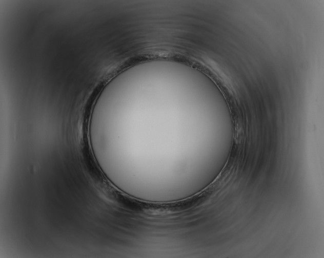 X0000088180500200705150942