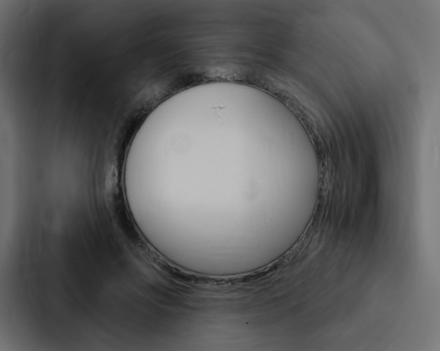 X0000088180502200705150942