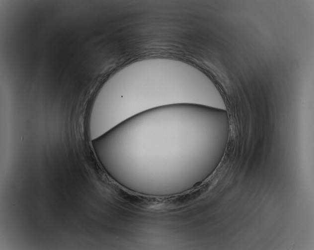 X0000088180504200705150942