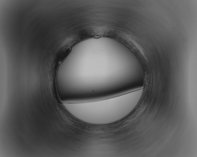 X0000088180505200705150942