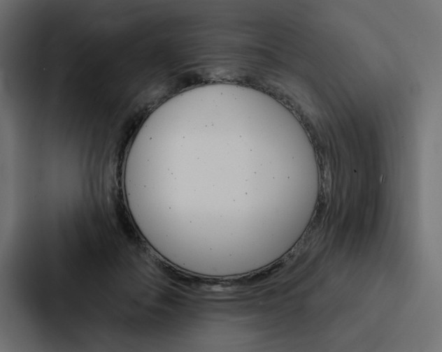 X0000088180506200705150942