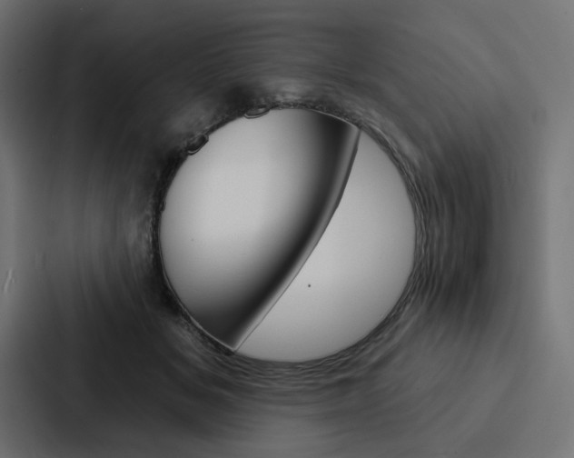 X0000088180509200705150942