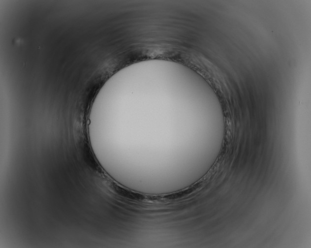 X0000088180510200705150942