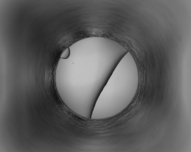 X0000088180511200705150942