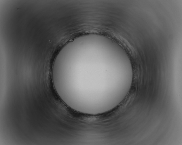 X0000088180513200705150942