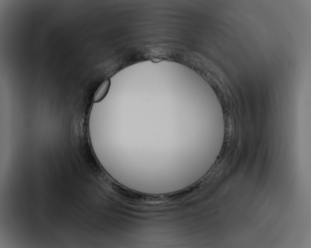 X0000088180514200705150942