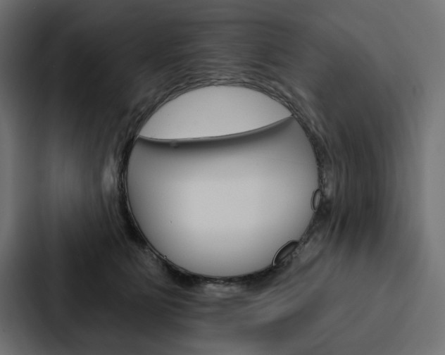 X0000088180515200705150942
