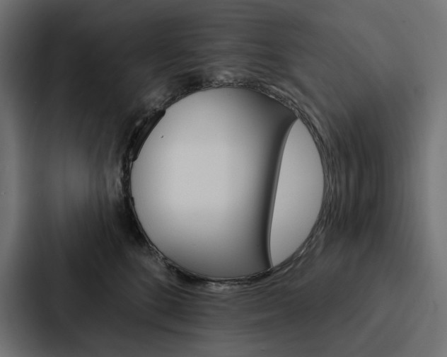 X0000088180520200705150942