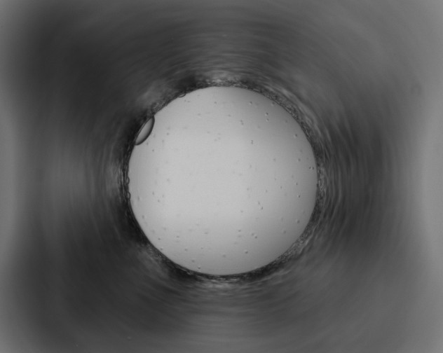 X0000088180523200705150942
