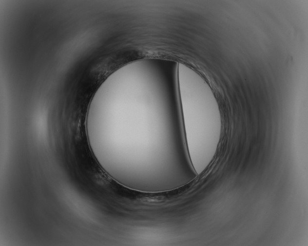 X0000088180525200705150942