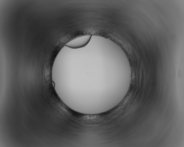 X0000088180526200705150942