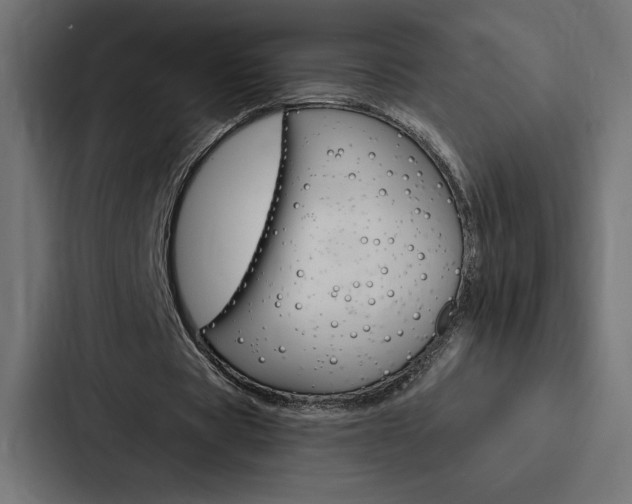 X0000088180529200705150941