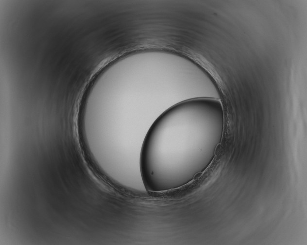 X0000088180530200705150941