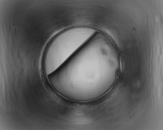 X0000088180531200705150941