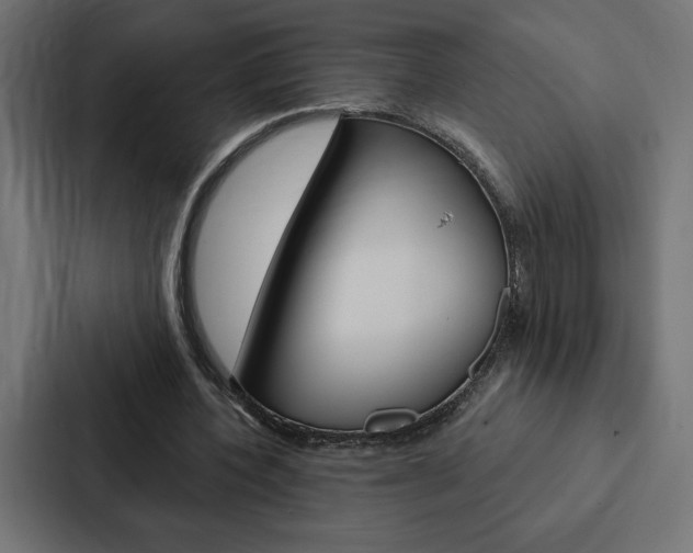 X0000088180532200705150941