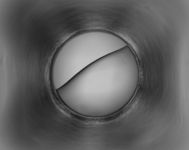 X0000088180533200705150941