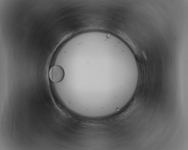 X0000088180534200705150941