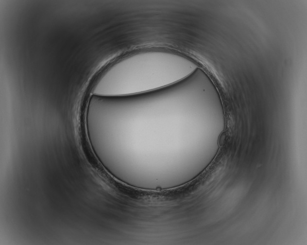 X0000088180535200705150941