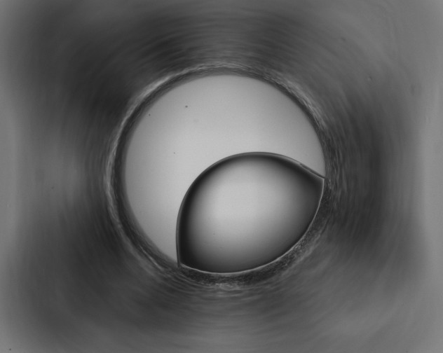 X0000088180536200705150941