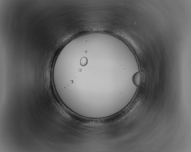 X0000088180537200705150941