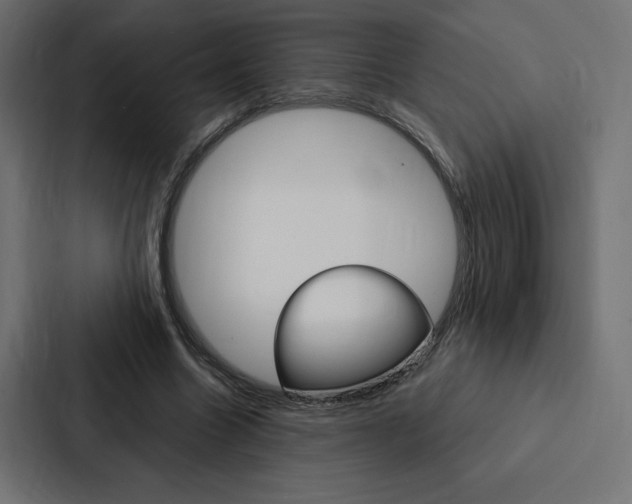 X0000088180538200705150941