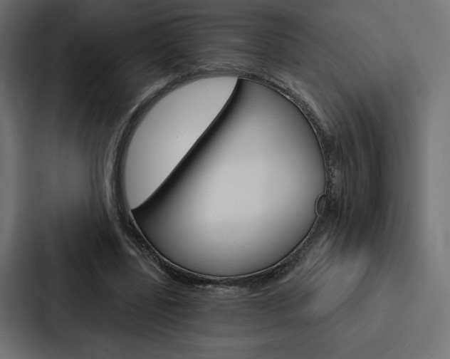 X0000088180539200705150941