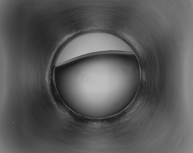 X0000088180540200705150941