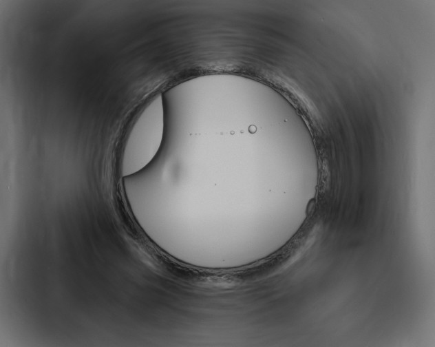 X0000088180541200705150941