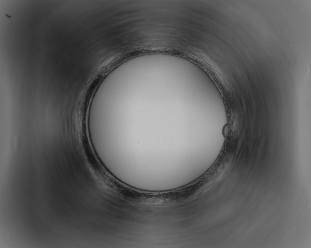 X0000088180542200705150941