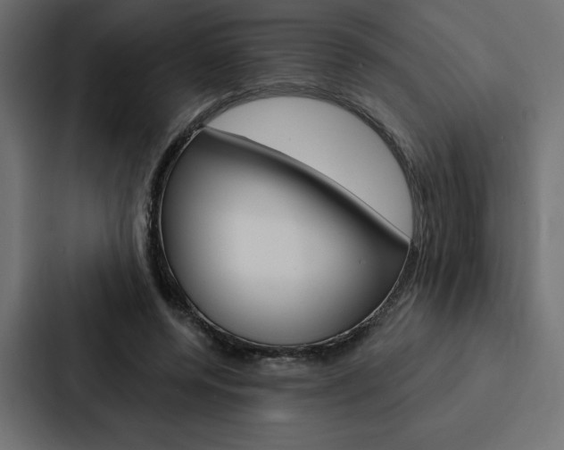 X0000088180544200705150941