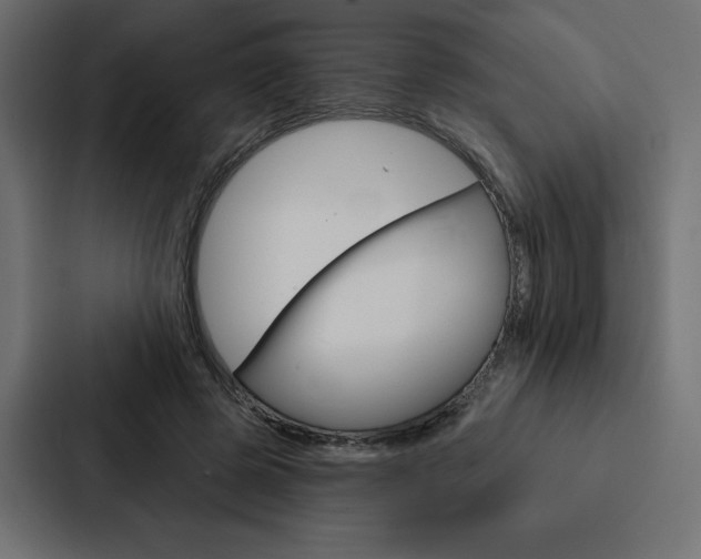 X0000088180545200705150941